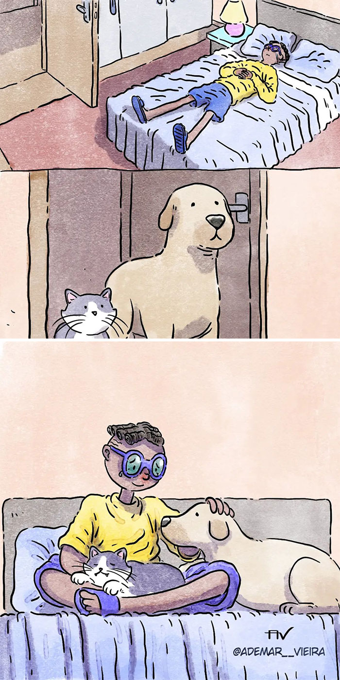Este artista crea 6 nuevos y emotivos cómics sobre la vida con un gato y un perro inspirados en sus experiencias personales Este artista crea 6 nuevos y emotivos cómics sobre la vida con un gato y un perro inspirados en sus experiencias personales