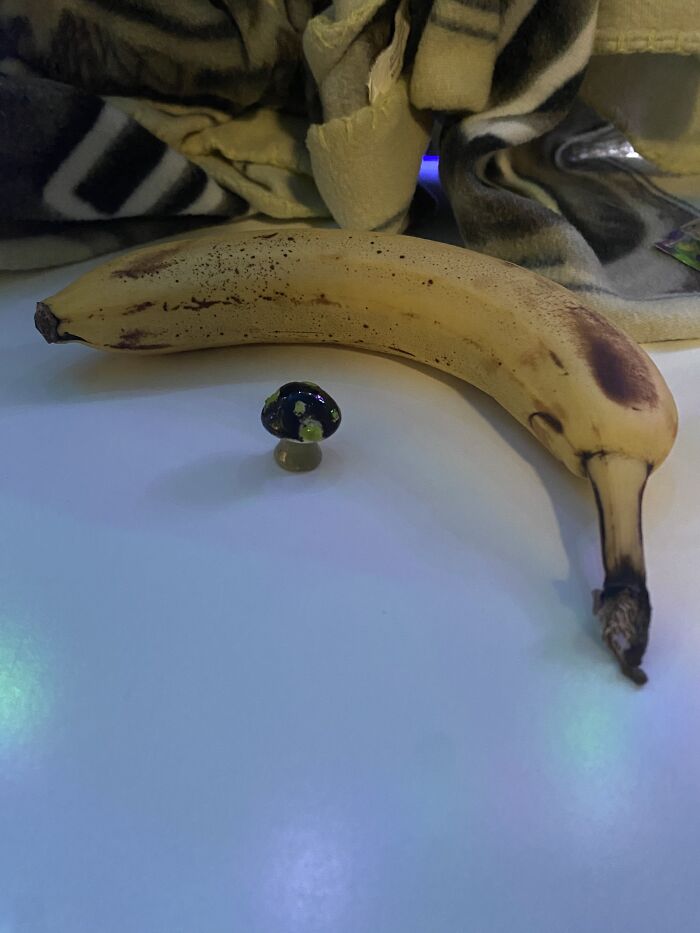 Banana For Scale: Tiny Mushroom I Painted At Petroglyph!