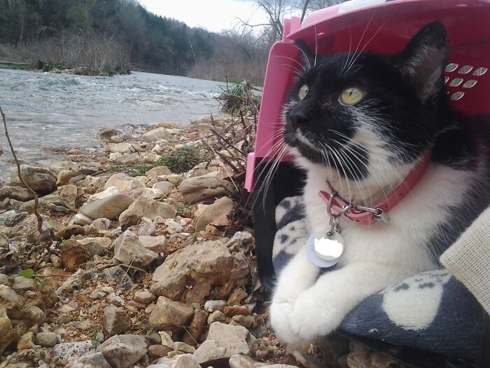 Took My Beautiful Girl For Some Creek Bed Medicine In Her Last Couple Of Months