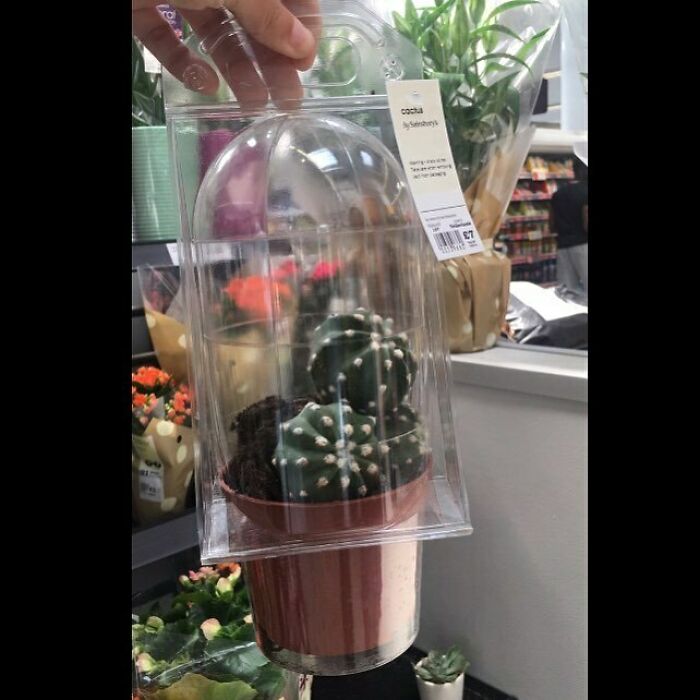 Pointless-Packaging-Pics