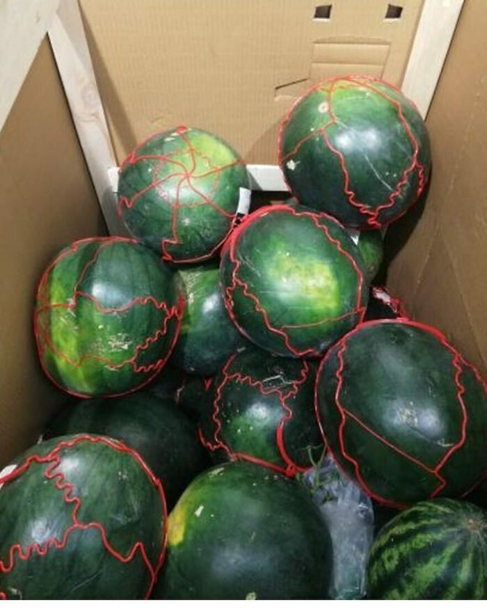 Pointless-Packaging-Pics