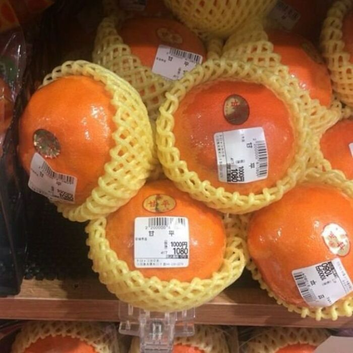 Pointless-Packaging-Pics