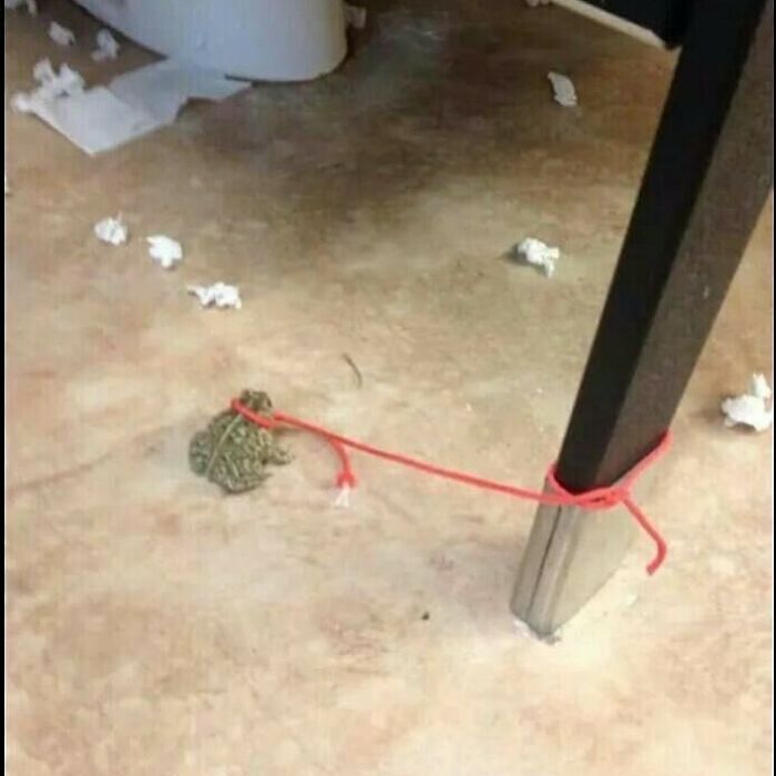 Could Y’all Watch Him?