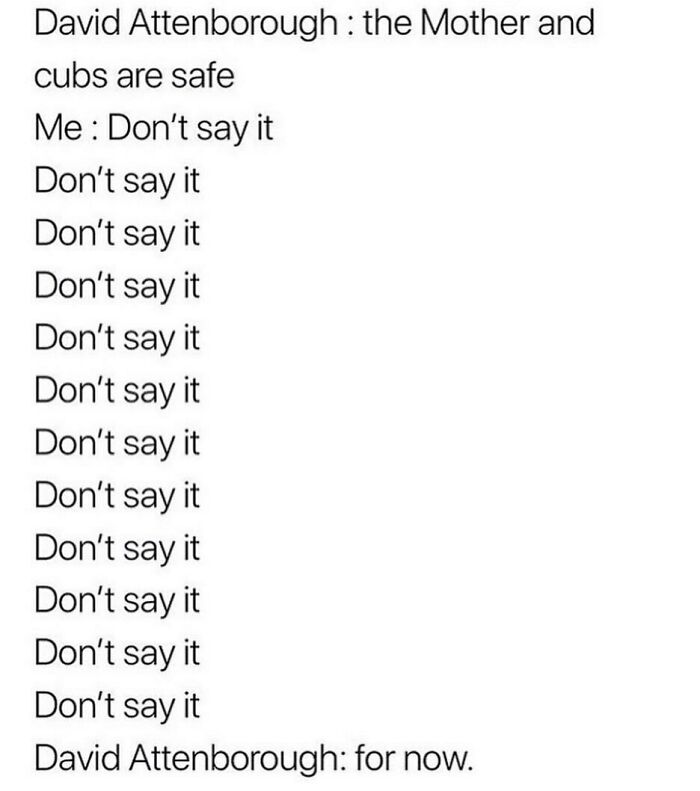 Hilarious-British-Memes