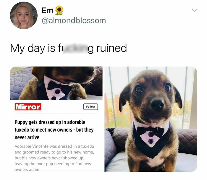 Hilarious-British-Memes