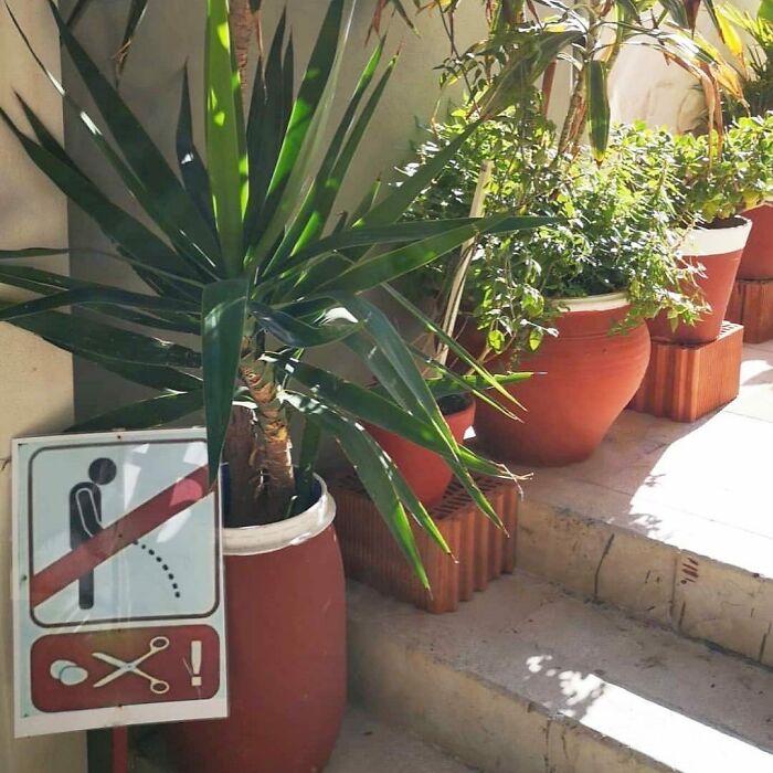  Un mensaje que no necesita traducciones