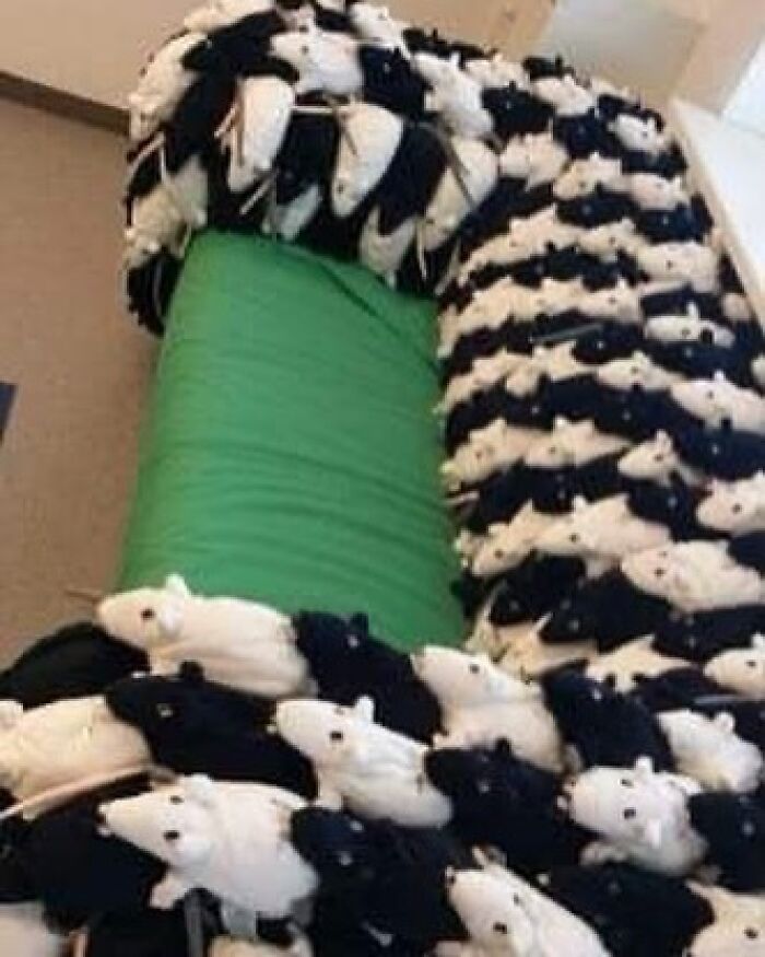 Ikeas New Straight Pride Couch Is So Beautiful