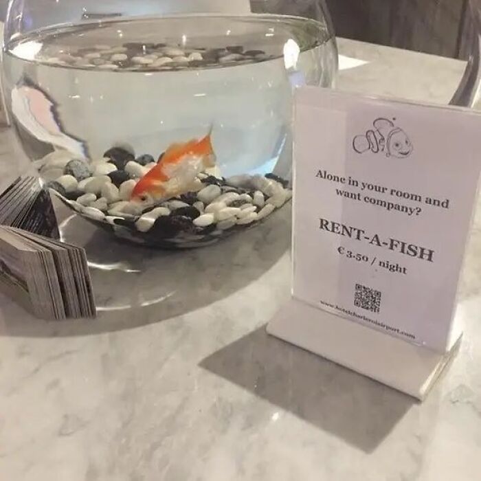 Honestly I’d Take It