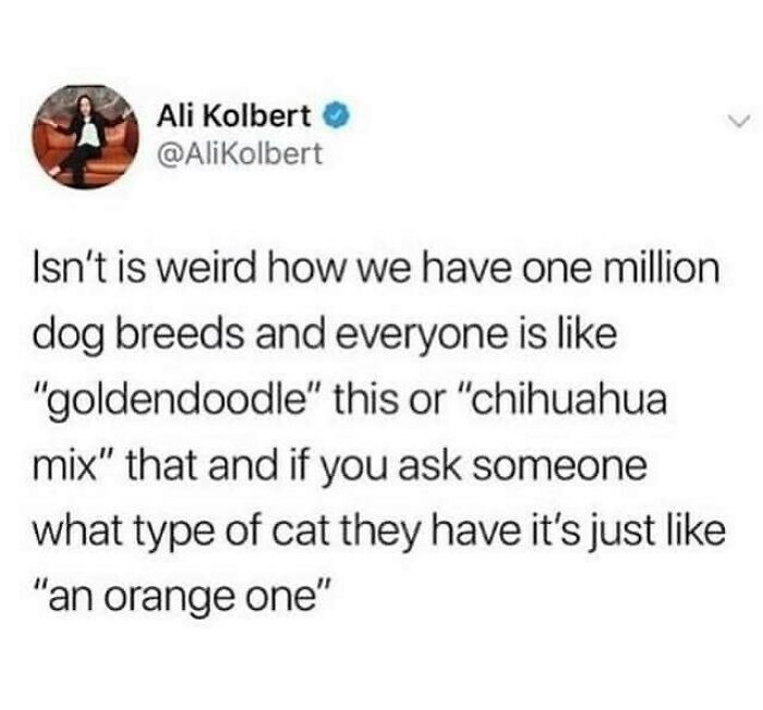 Hilarious-British-Memes