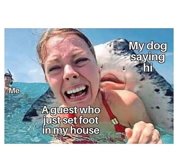 So-Basic-I-Cant-Even-Memes