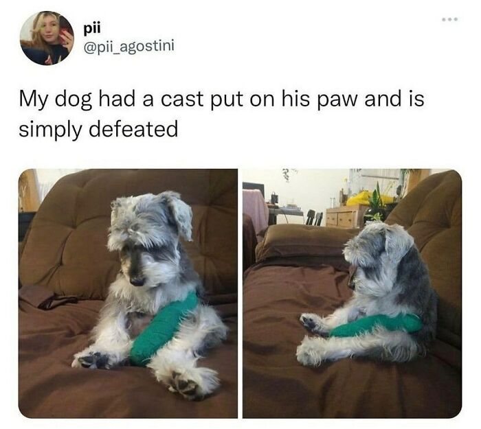 Hilarious-British-Memes