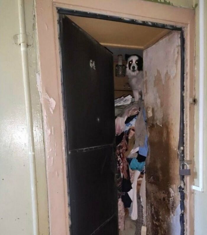 I Swear Some Of Y’all’s Room Looks Like This And You’ll Just Go To Bed Like “I’ll Fix It Tomorrow”