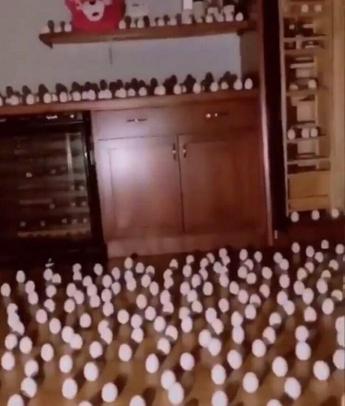 Average Penelope Scott Concert