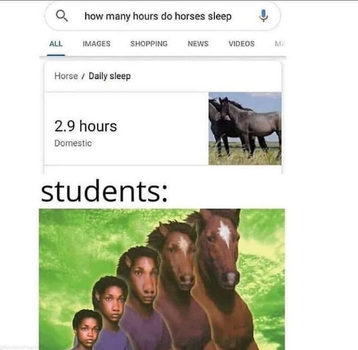 Unhinged-Grand-Tier-Memes