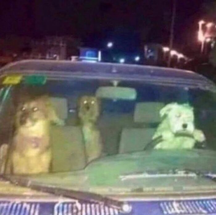 Rollin W The Girlies