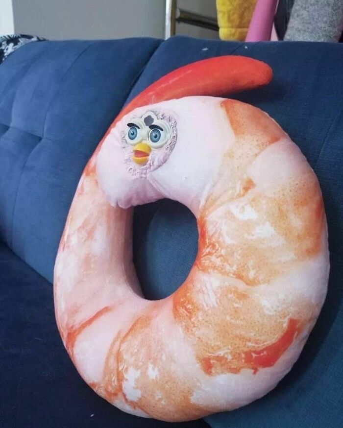 Cursed-Funny-Nonsense-Pics