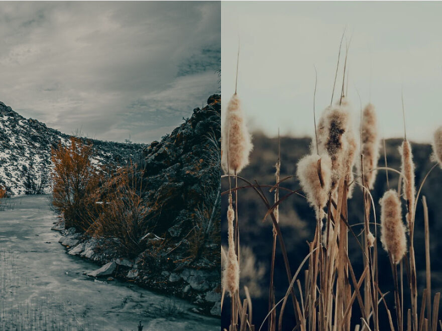 Capturing Moments: The Art And Beauty Of Photography