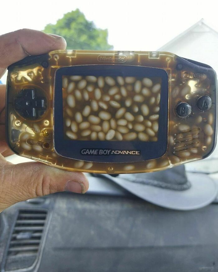 Cursed-Funny-Nonsense-Pics