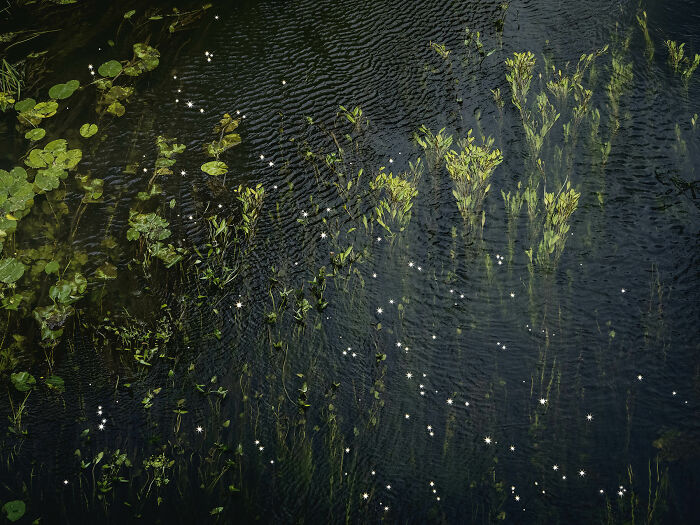 I Combined Light And Water To Create These Images About Rare Chalk Streams (12 Pics)