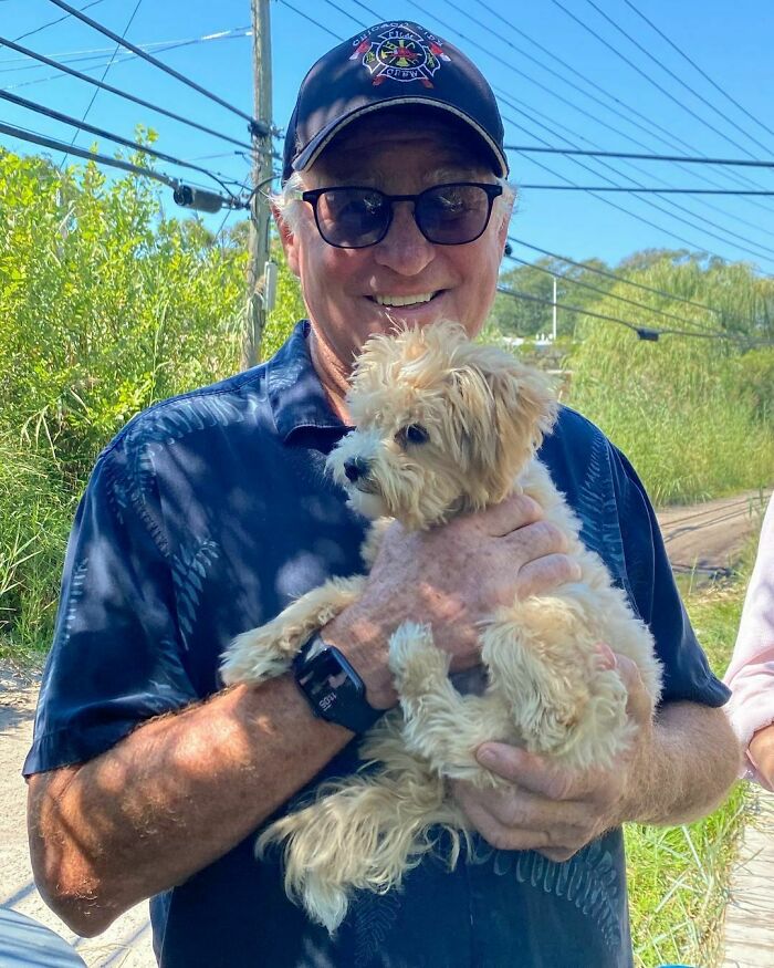 Actor Treat Williams Passes Away At 71 Following Motorcycle Crash