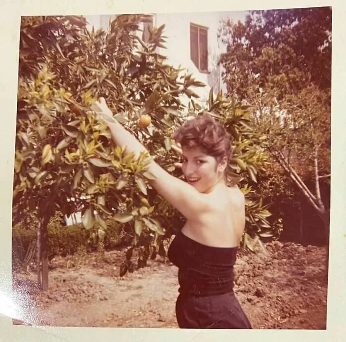 When Life Gives You A Whole Lot More Than Just Lemons