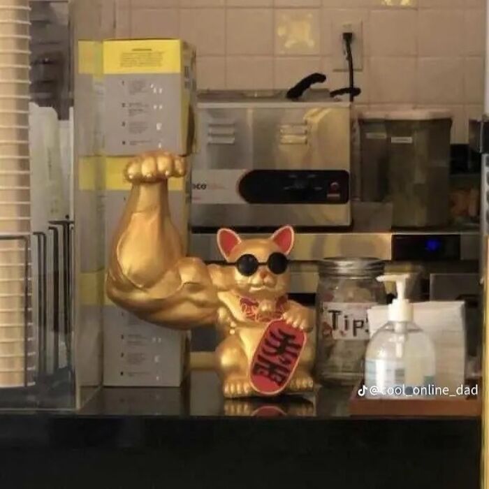 I Want This To Make My Feng Shui As Best As Possible