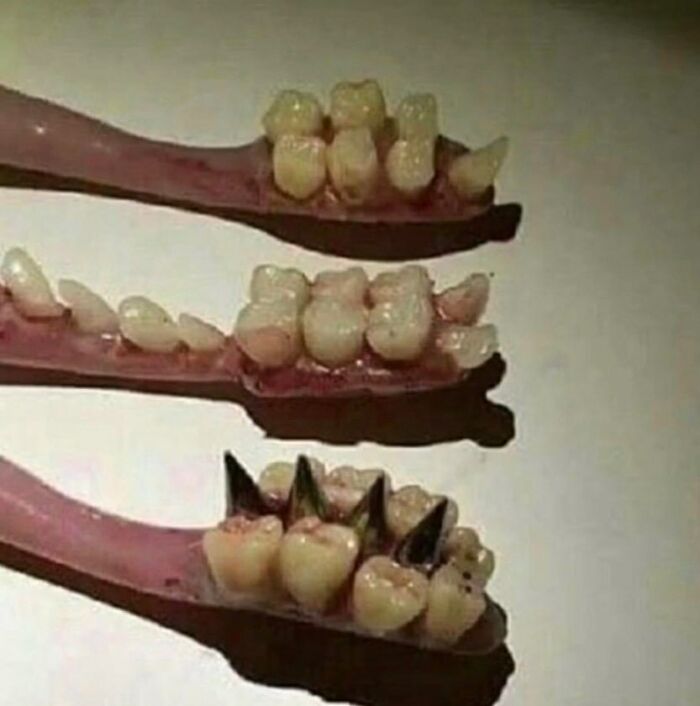 9/10 Dentists Agree
