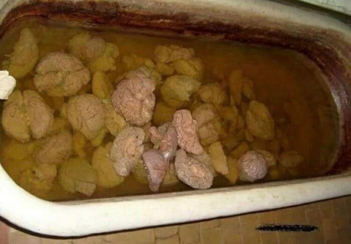 The Kraby Patty Secret Formula