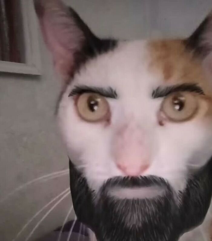 Hilarious-Cursed-Images