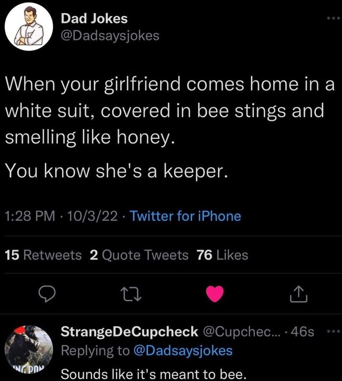Funny meme about life from Punsworld IG: A joke about a girlfriend in a bee suit, implying she's a "keeper."