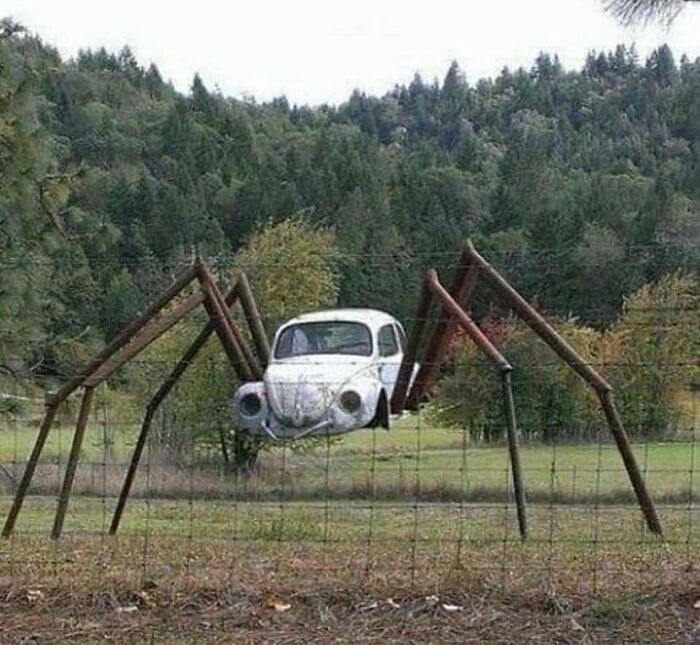 Herby Lookin A Little Rough After Retirement