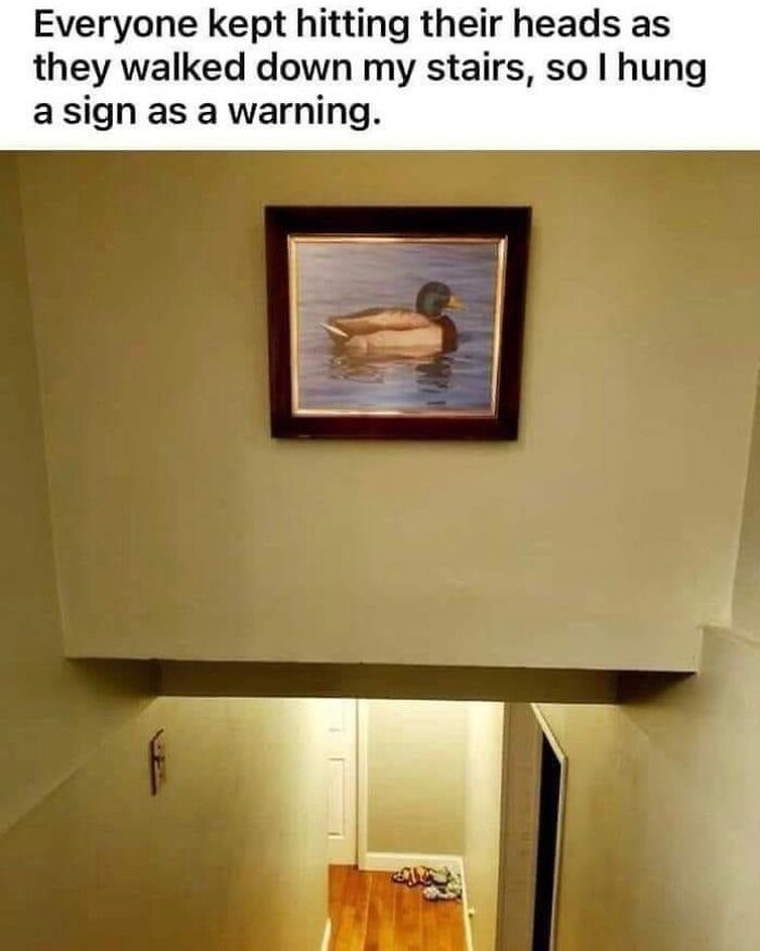 Funny meme about life with a duck painting hung as a warning above stairs.