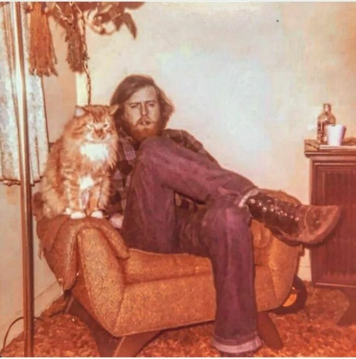 Is This Tabby Chic Or Meowed Century Pawdern?