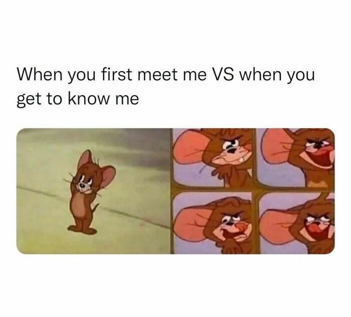 Funny meme showing a character's calm and mischievous expressions, titled "When you first meet me VS when you get to know me".