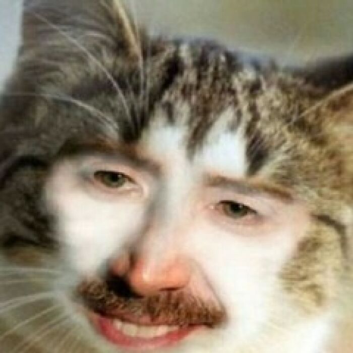 Hilarious-Cursed-Images