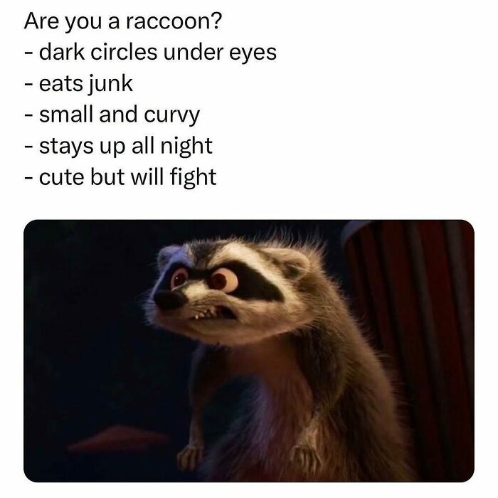 Raccoon meme with funny joke about dark circles, junk food, and staying up all night.