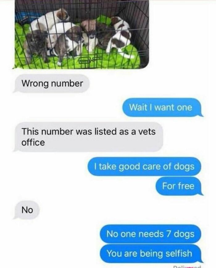 Funny-Relatable-Memes-Punsworld