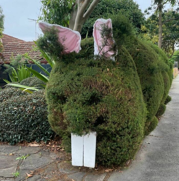 Espera a ver los huevos 