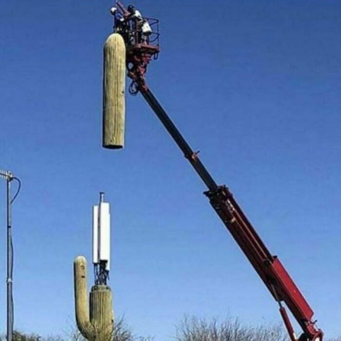 Beneath The Beach, The Pavement