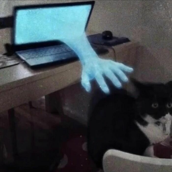 Hilarious-Cursed-Images