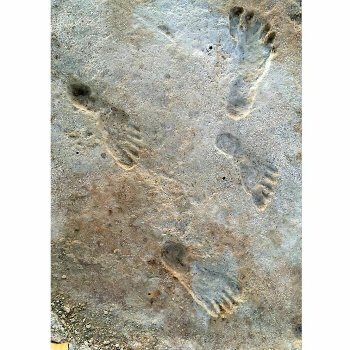 20,000 Year Old Human Footprints Uncovered By Researchers In White Sands National Park. According To A New Study, These Tracks Date To Between 21,000 To 23,000 Years Ago—a Time When Massive Ice Sheets Are Believed To Have Blocked Human Migration Into The Americas. Photo By Dan Odess