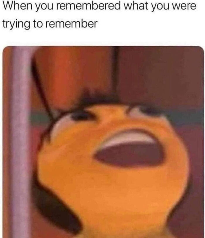 Meme of an animated bee with a surprised face, capturing a humorous moment from Instagram.