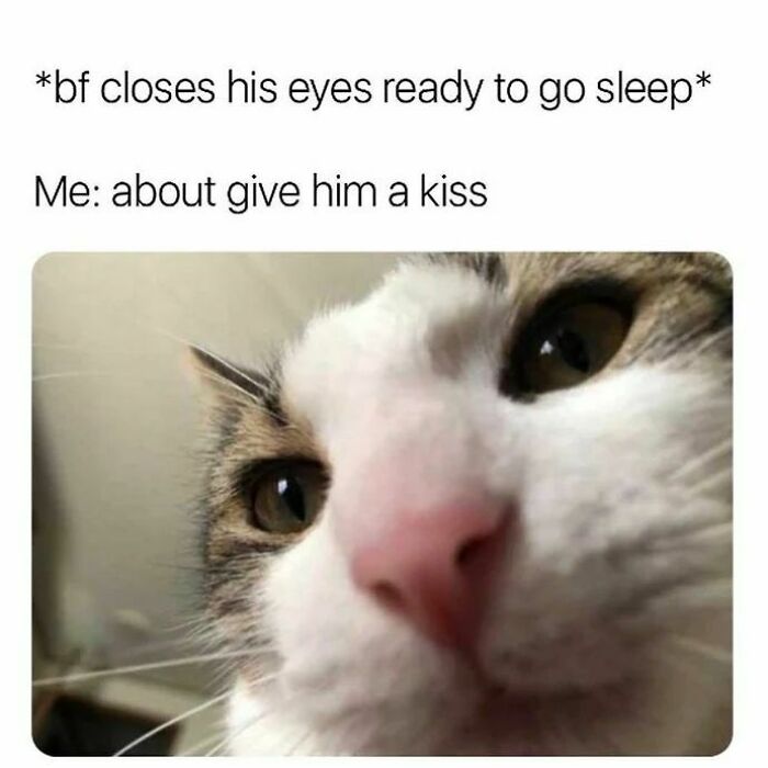 Wholesome-Romantic-Relationship-Memes