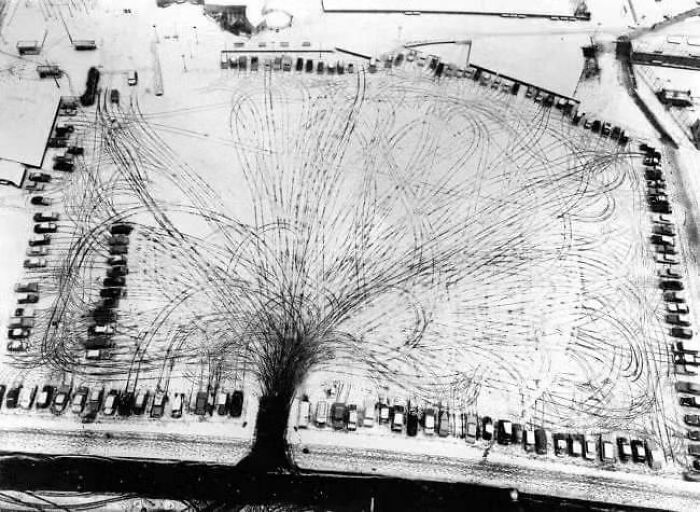 The Tree Like View Looking Down Onto A Car Park, Taken From The 26th Story Of The Great Shell Centre On The South Bank Of The River Thames In London. The “Tree” Effect Is Formed By The Wheels Of The Cars As They Enter And Leave The Park. (1963)