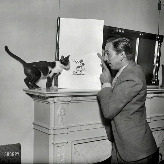 Walt Disney Explaining Mickey Mouse To A Cat In 1931