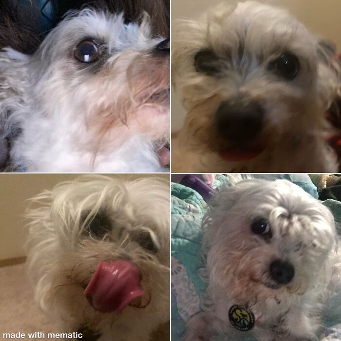 I Couldn't Pick! He’s So Adorable And Funny In Them All Xd