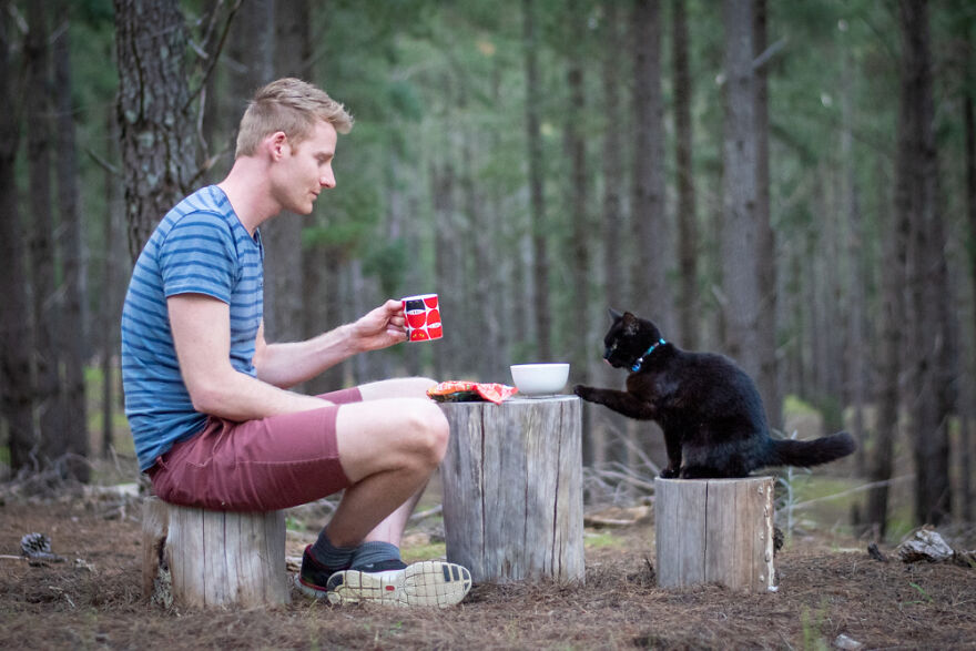 I Started Traveling Around Australia In A Campervan With My Cat Willow, And My Whole Life Changed I Started Traveling Around Australia In A Campervan With My Cat Willow, And My Whole Life Changed