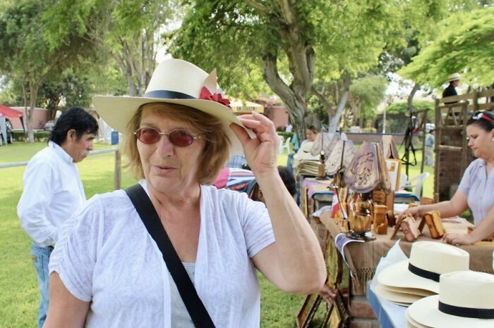 I Took Photos Of Caballo De Paso Peruano