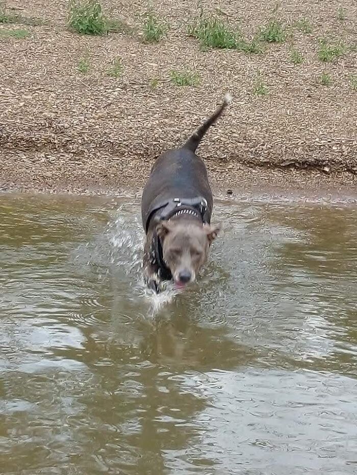 Grae'son At Elk City Lake, August 2020