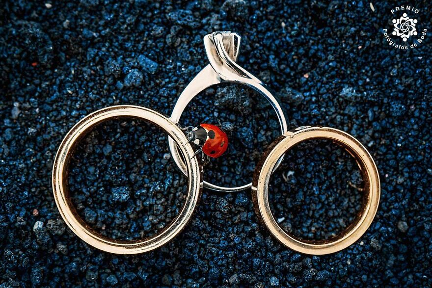 "I Finally Found It, The Space Portal!" Photo By Carmelo Ucchino